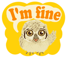 The Fancy Owls. sticker #5967266