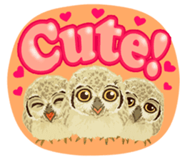 The Fancy Owls. sticker #5967276