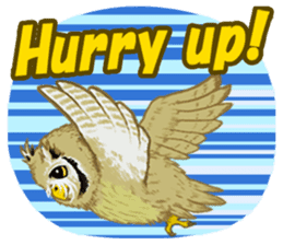 The Fancy Owls. sticker #5967298