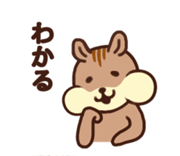 The Shimao of chipmunk sticker #5968144