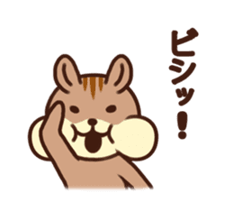 The Shimao of chipmunk sticker #5968163