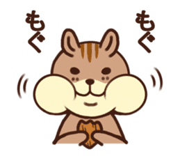 The Shimao of chipmunk sticker #5968173