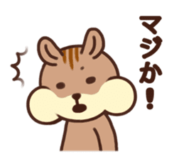 The Shimao of chipmunk sticker #5968177