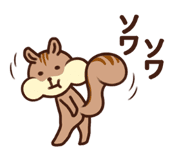 The Shimao of chipmunk sticker #5968178