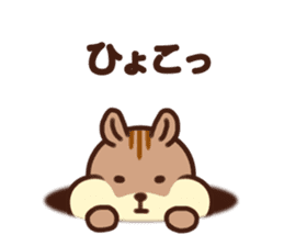 The Shimao of chipmunk sticker #5968180