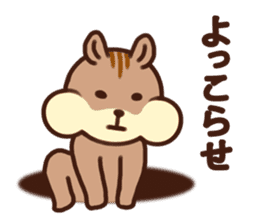 The Shimao of chipmunk sticker #5968181