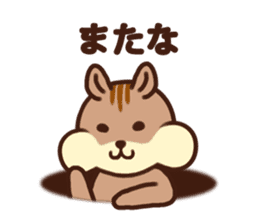 The Shimao of chipmunk sticker #5968182