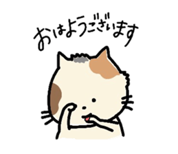 Hello "Neko-san" sticker #5969024