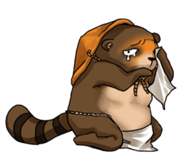 Raccoon dog attracted by ceramic ware sticker #5971841