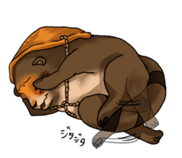 Raccoon dog attracted by ceramic ware sticker #5971859