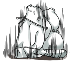 Raccoon dog attracted by ceramic ware sticker #5971860