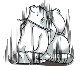 Raccoon dog attracted by ceramic ware sticker #5971860