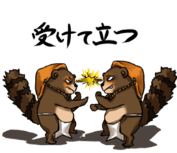 Raccoon dog attracted by ceramic ware sticker #5971861