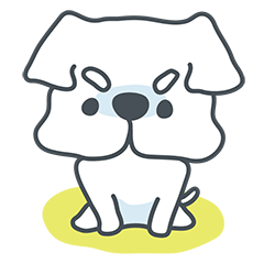 My crazy little white dog RUMI