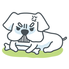 My crazy little white dog RUMI sticker #5973985