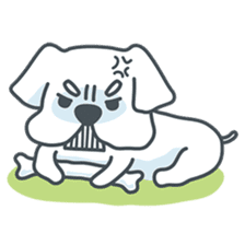 My crazy little white dog RUMI sticker #5973985