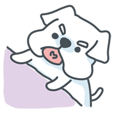 My crazy little white dog RUMI sticker #5973987