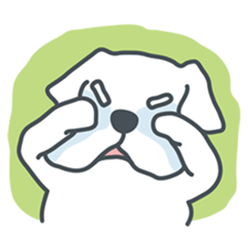 My crazy little white dog RUMI sticker #5973990