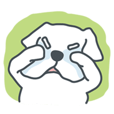 My crazy little white dog RUMI sticker #5973990