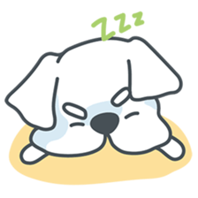 My crazy little white dog RUMI sticker #5973994