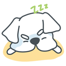 My crazy little white dog RUMI sticker #5973994