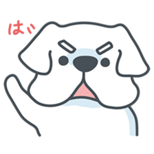 My crazy little white dog RUMI sticker #5973996