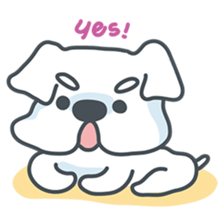 My crazy little white dog RUMI sticker #5973999