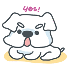 My crazy little white dog RUMI sticker #5973999