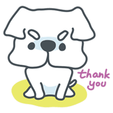 My crazy little white dog RUMI sticker #5974002