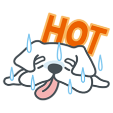 My crazy little white dog RUMI sticker #5974004