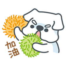 My crazy little white dog RUMI sticker #5974008