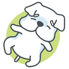 My crazy little white dog RUMI sticker #5974009