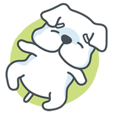 My crazy little white dog RUMI sticker #5974009