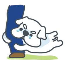 My crazy little white dog RUMI sticker #5974010