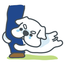 My crazy little white dog RUMI sticker #5974010