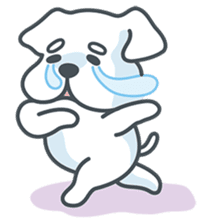 My crazy little white dog RUMI sticker #5974014