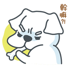 My crazy little white dog RUMI sticker #5974015