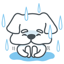 My crazy little white dog RUMI sticker #5974016