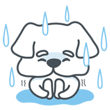 My crazy little white dog RUMI sticker #5974016