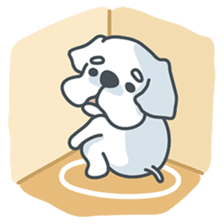 My crazy little white dog RUMI sticker #5974020