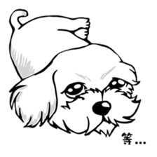 Little white dog sticker #5974837