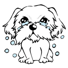 Little white dog sticker #5974858