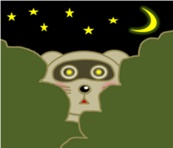 "Ponchan" of raccoon sticker #5976866