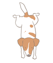 Jack Russell Terrier MIRO sticker #5977480