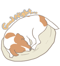 Jack Russell Terrier MIRO sticker #5977481