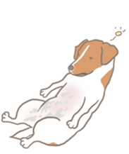 Jack Russell Terrier MIRO sticker #5977485