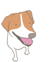 Jack Russell Terrier MIRO sticker #5977487