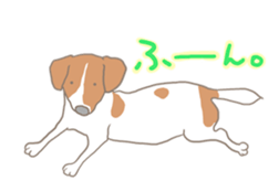 Jack Russell Terrier MIRO sticker #5977489