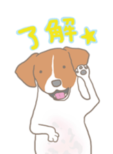 Jack Russell Terrier MIRO sticker #5977490
