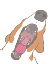 Jack Russell Terrier MIRO sticker #5977491